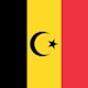 niet de echte vlag van belgië, red