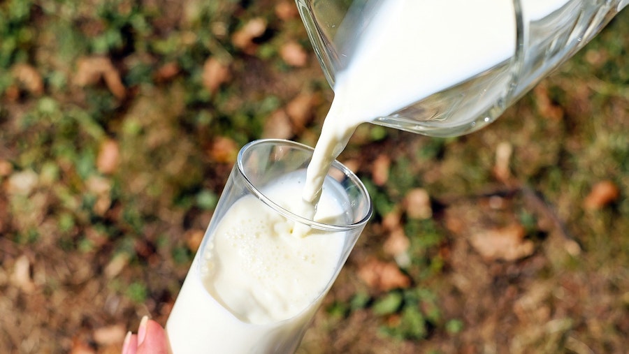 Schaden.  Hafermilch nicht gesund genug für einen niedrigeren Steuersatz