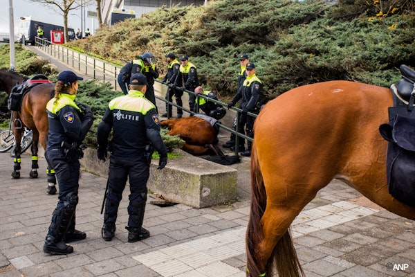 GeenStijl: Extreemlinks vermoordt politiepaard in Nijmegen